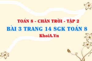 Bài 3 trang 14 Toán 8 Chân trời sáng tạo Tập 2